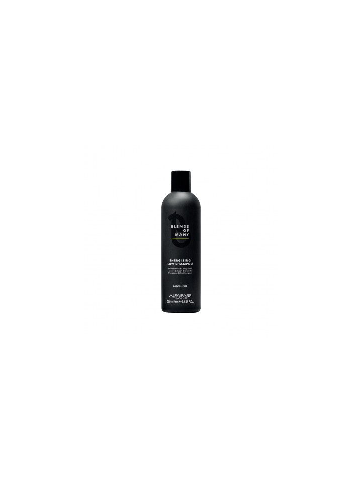 Alfaparf Blends Of Many Enerji Veren Şampuan 250 ml